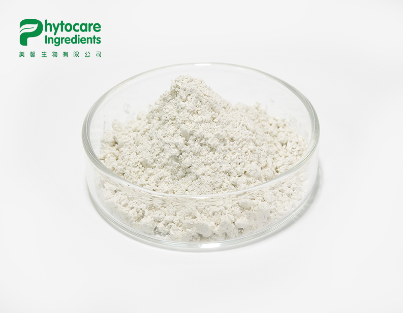 Best Hemp Seed Protein